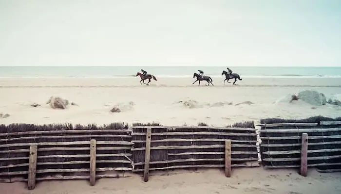 Coeur De - 4 Pers - 1 Min Place Morny *